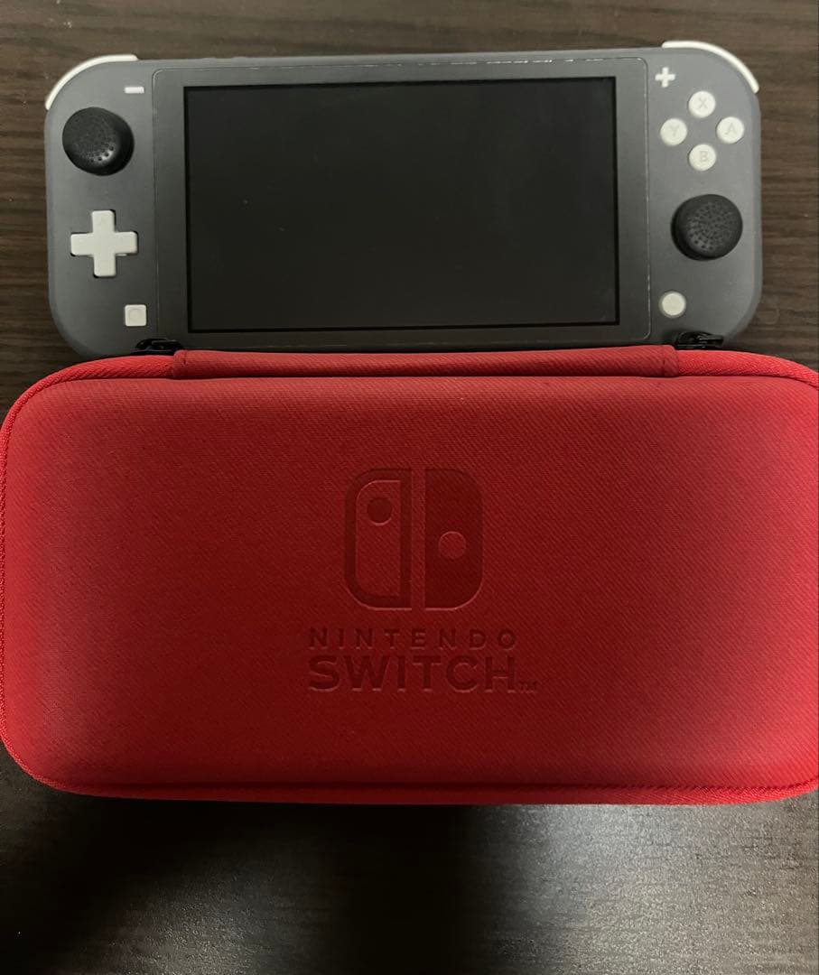 Nintendo Switch Lite グレー 本体 + ケース