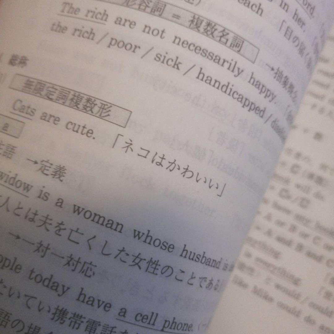 【超希少、書込なし】代ゼミテキスト　的中ねらいの英作文　小倉弘　冬期直前講習会