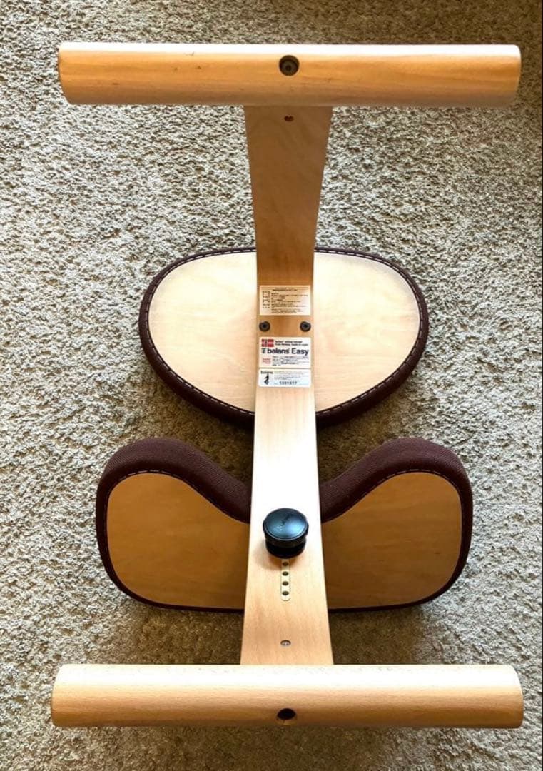 ニソエ！バランスチェア イージー