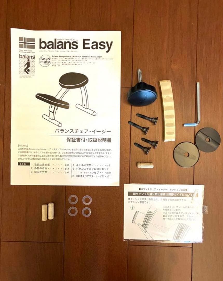 ニソエ！バランスチェア イージー