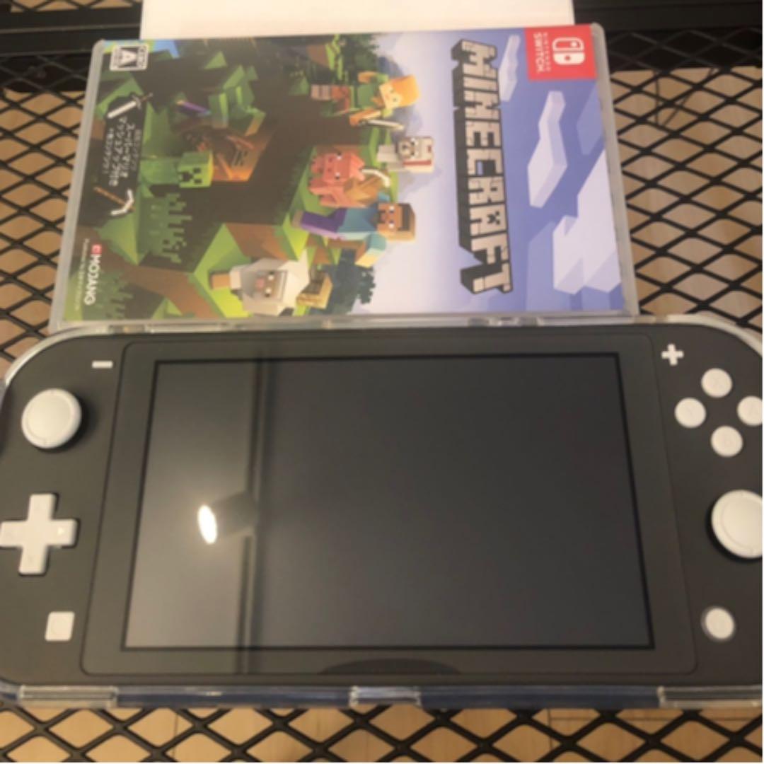 Nintendo Switch Lite グレー