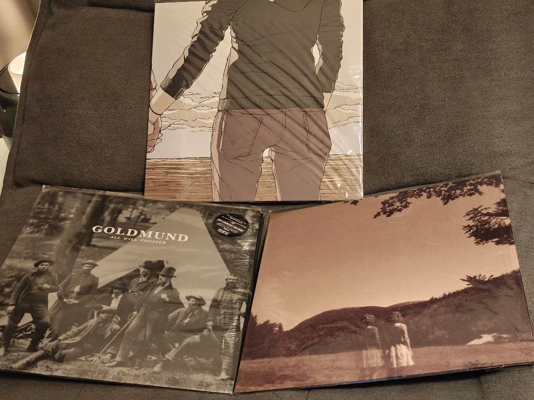 Goldmund Helios レコード４枚