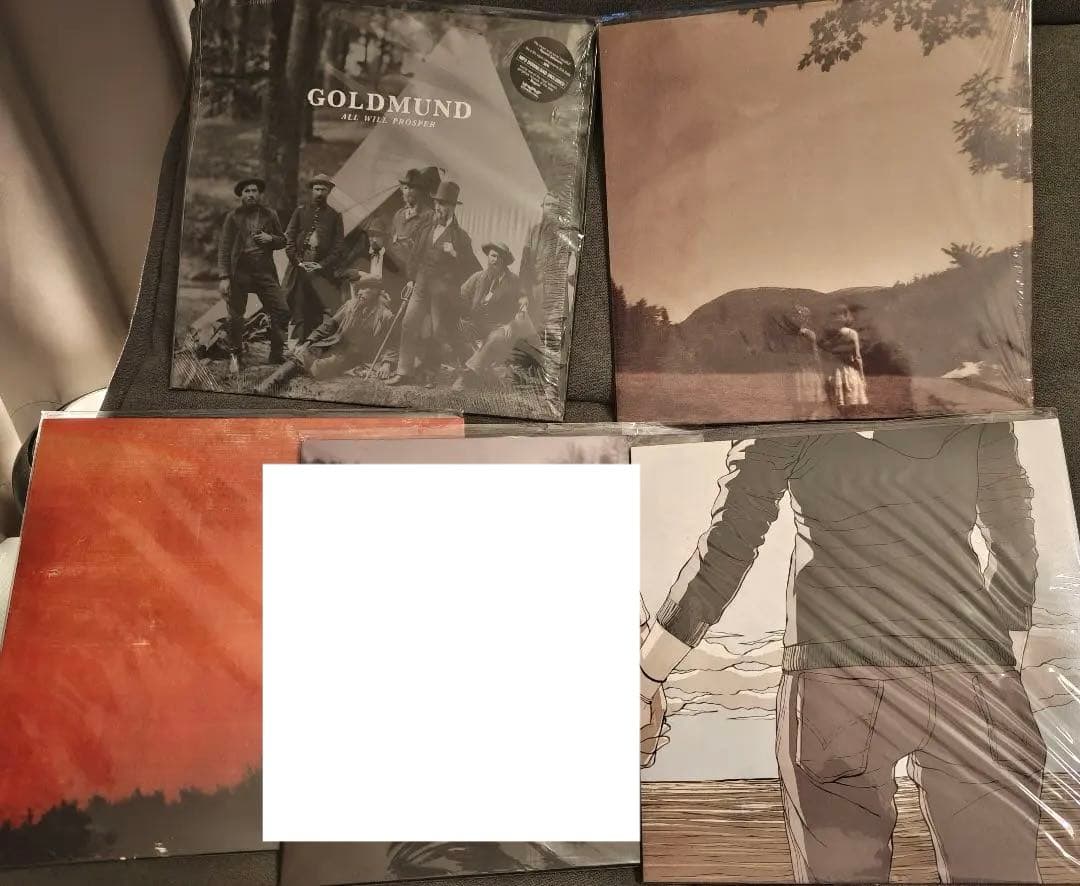 Goldmund Helios レコード４枚