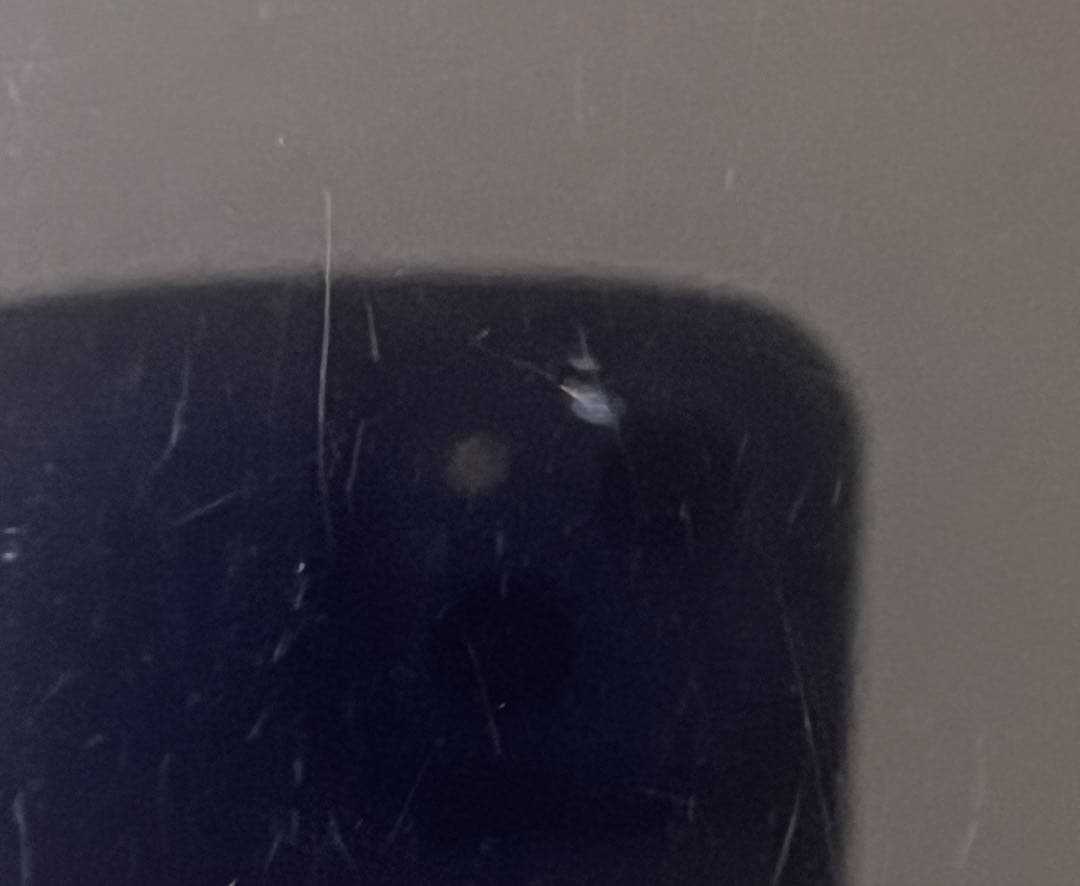 Switch Lite ピンク　⚠️ジャンク品⚠️説明必読⚠️