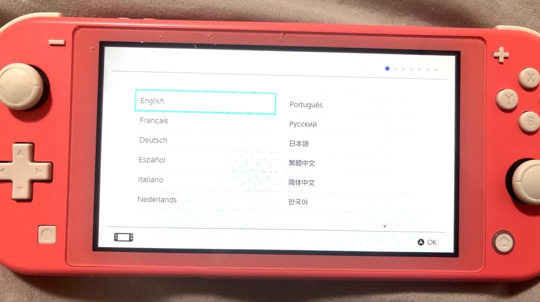 Switch Lite ピンク　⚠️ジャンク品⚠️説明必読⚠️