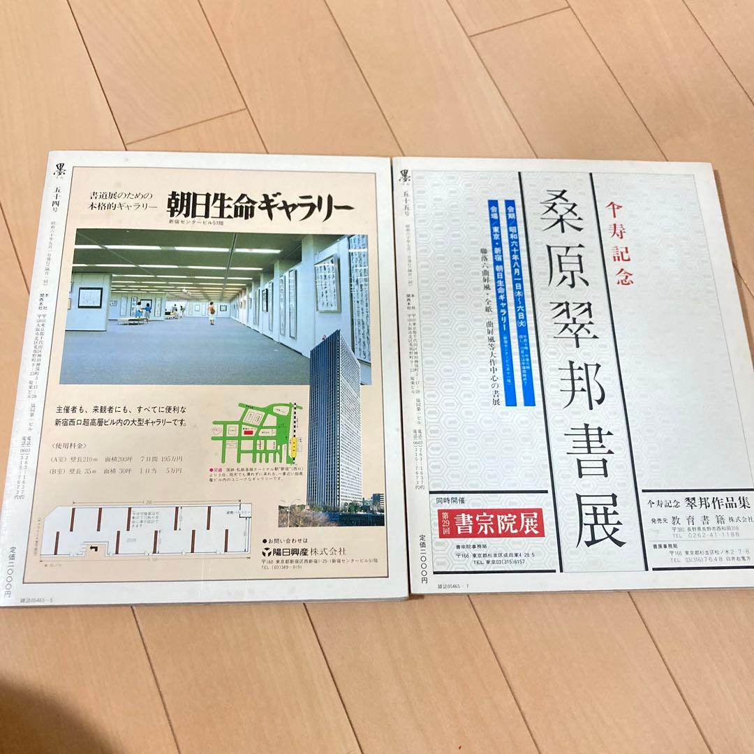 芸術新聞社 大判書道雑誌 墨 まとめ売り 50～59号