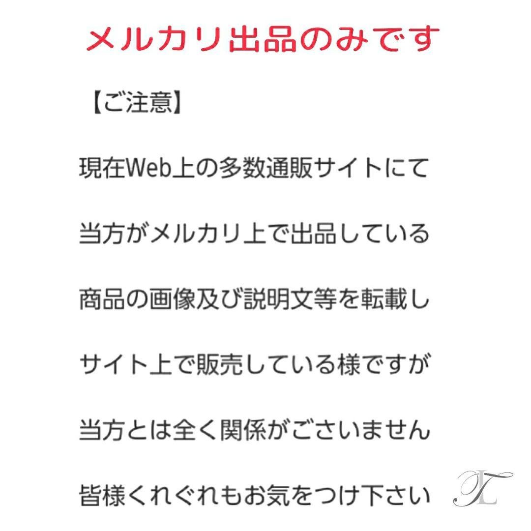 エバーラスト ボクシング グローブ 10オンス