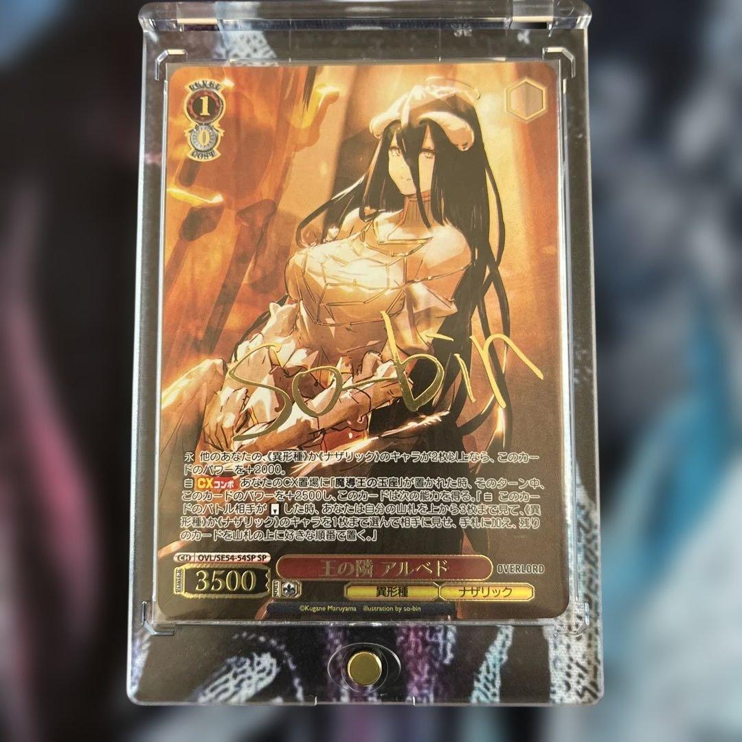 ⭐️王の隣⭐️アルベド