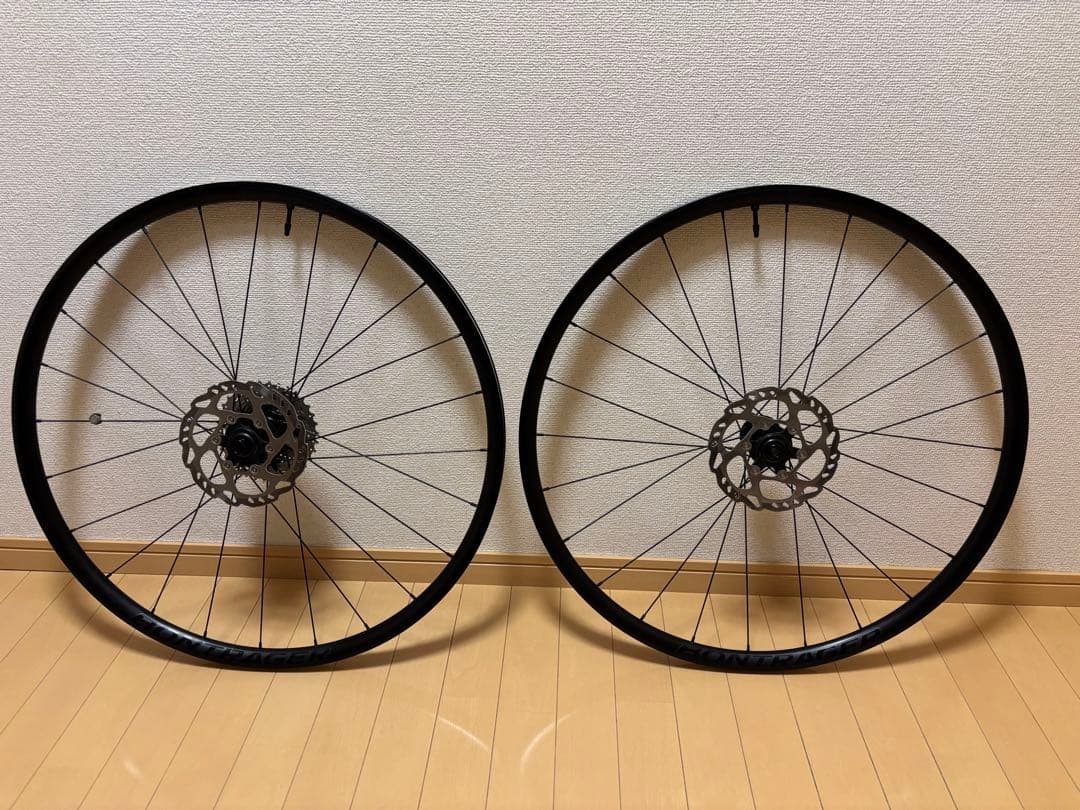 Bontrager Paradigm チューブレスレディ