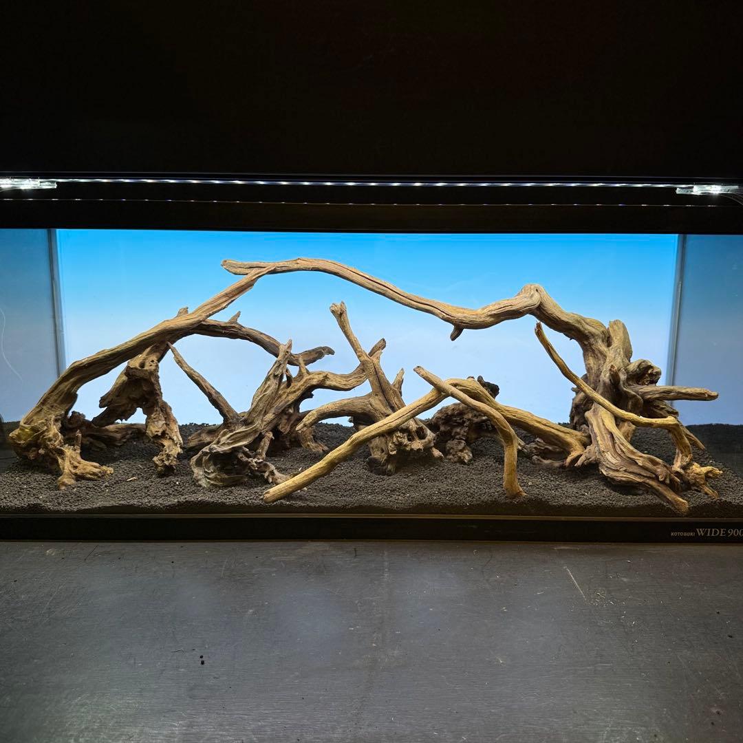 MSRW-6926 天然流木レイアウトセット　スリムウッド　アクアリウム