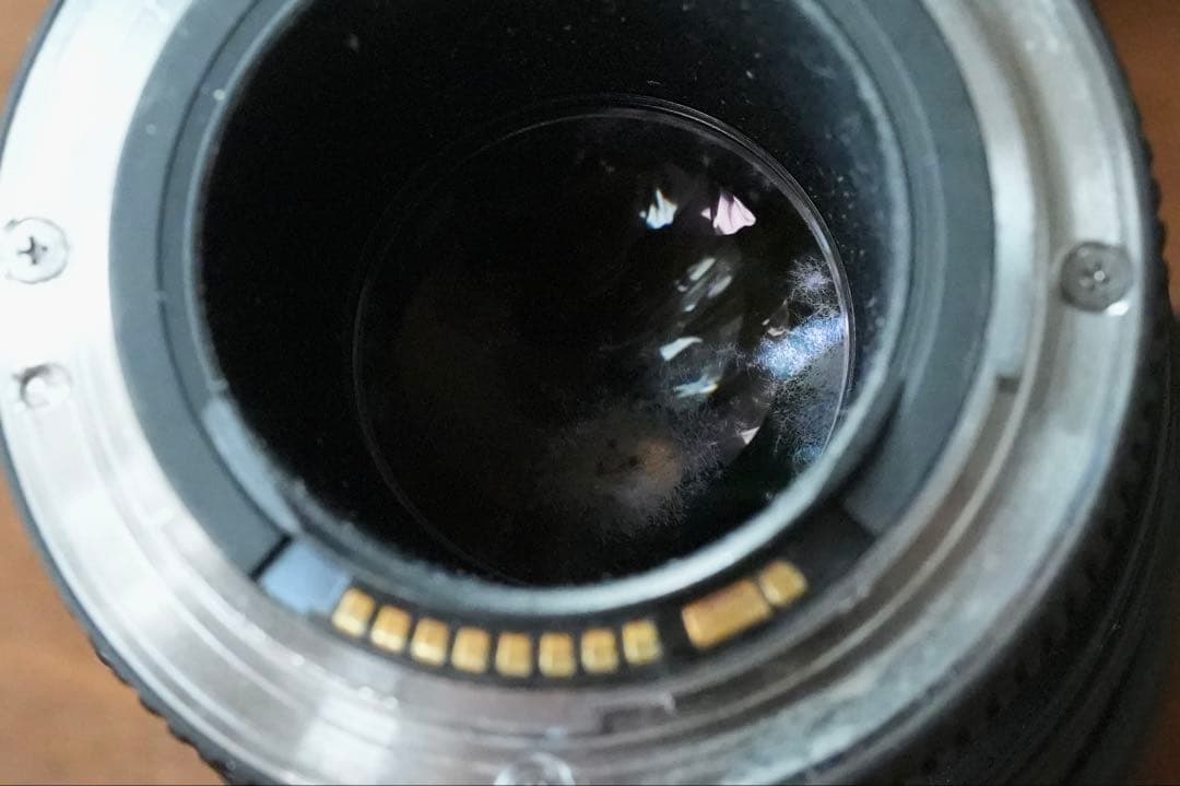 レンズ(単焦点) Canon EF 200mm F2.8L