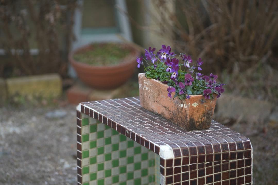 レンズ(単焦点) Canon EF 200mm F2.8L