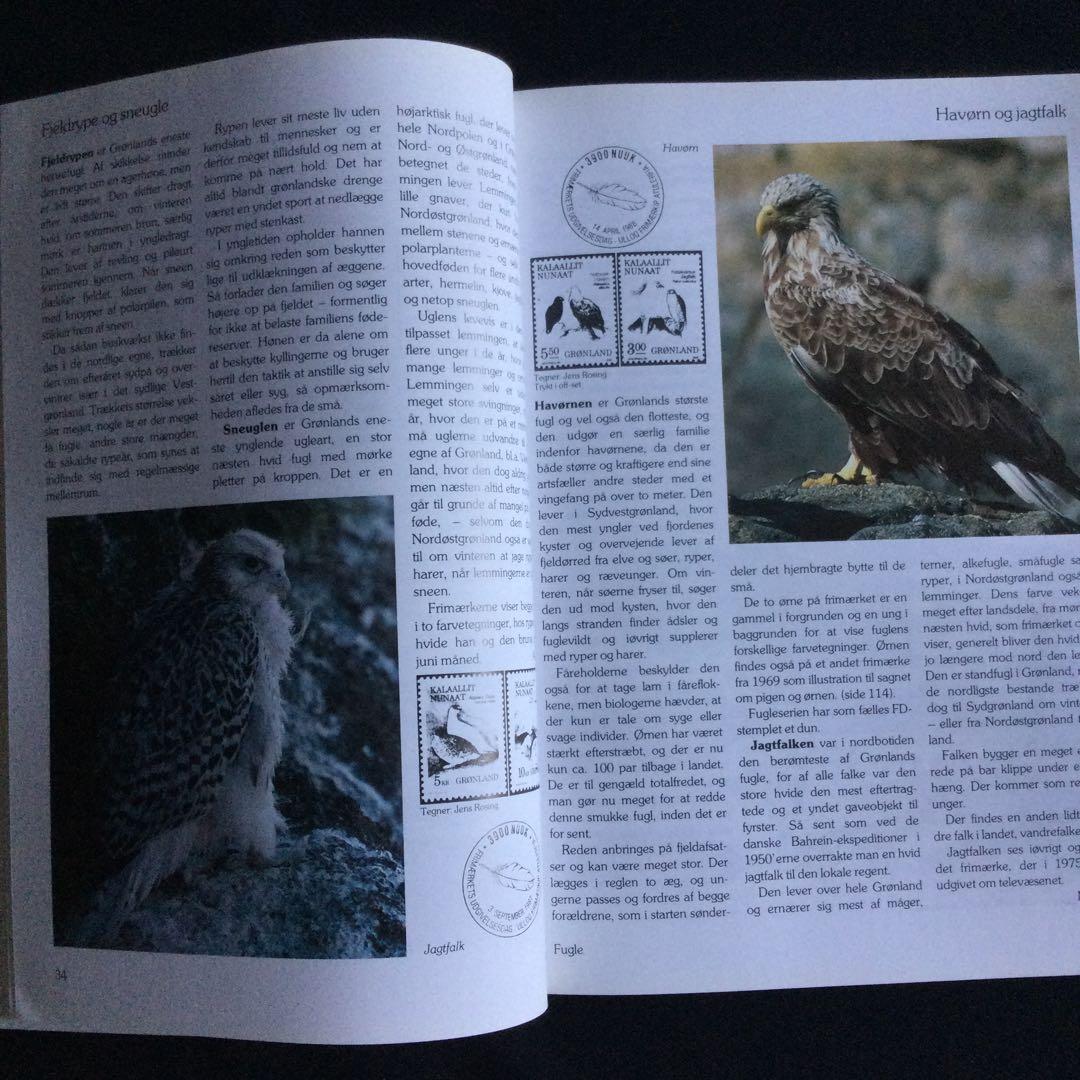 希少　グリーンランド　デンマーク　切手　カタログ　イラスト　洋書　デンマーク語