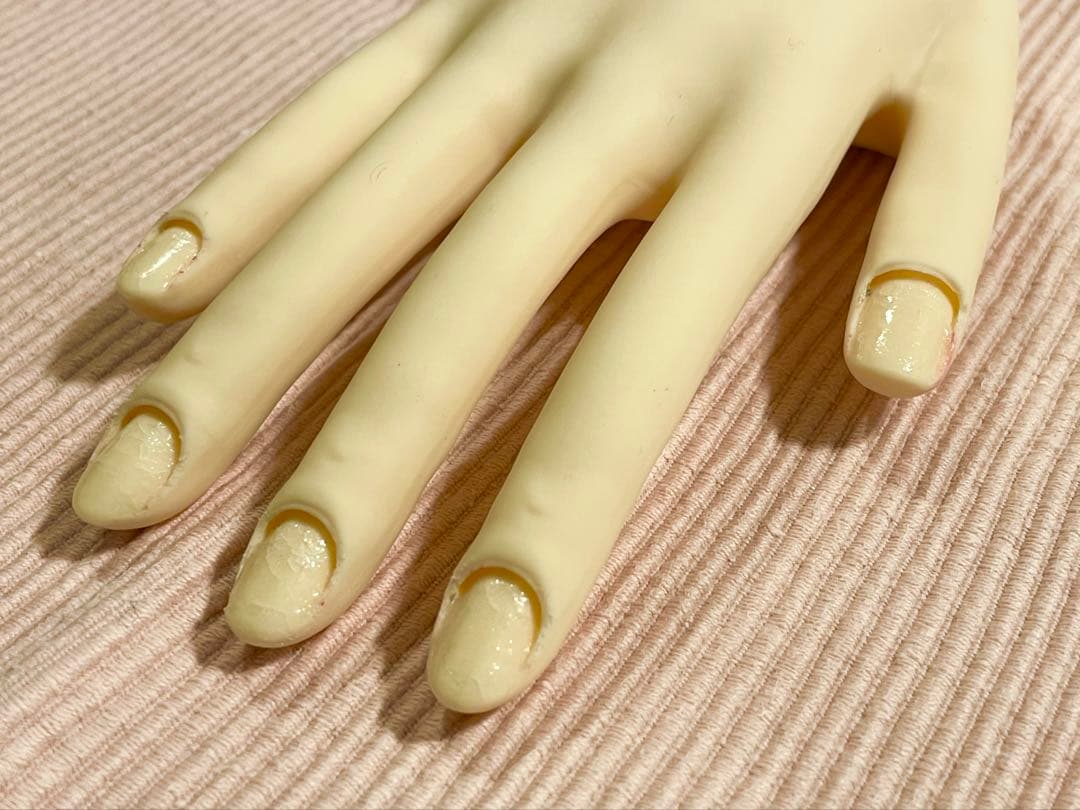 【練習用】JNEC認定モデルハンド ST モデルハンド　両手