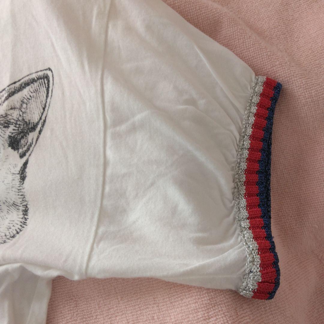 GUCCI ヒグチユウココラボ　猫イラスト 半袖Tシャツ　チルドレンサイズ12