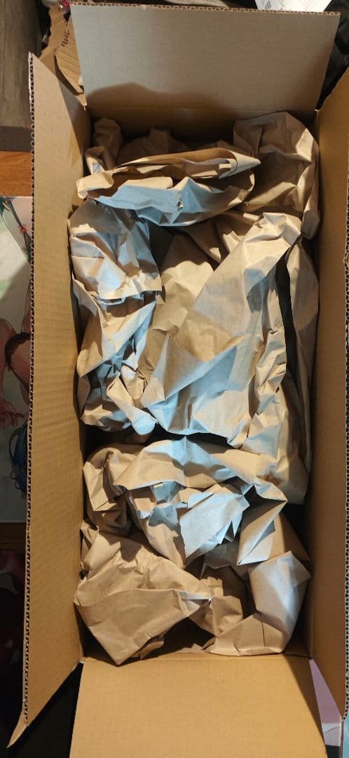 光の通り路 カントク少女風景画集 紙書籍