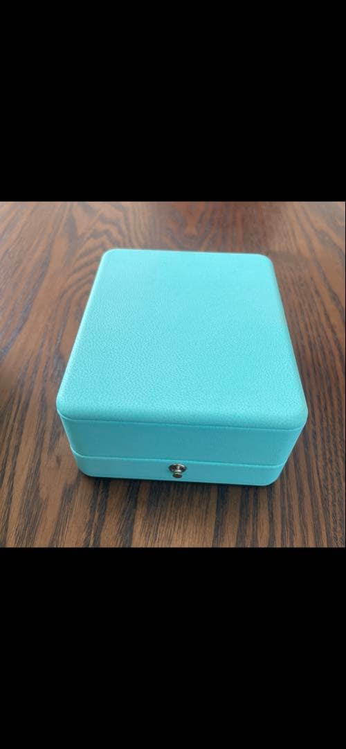 【鑑定付き正規品】ティファニー Tサークル ネックレス ダイヤモンド3.3g