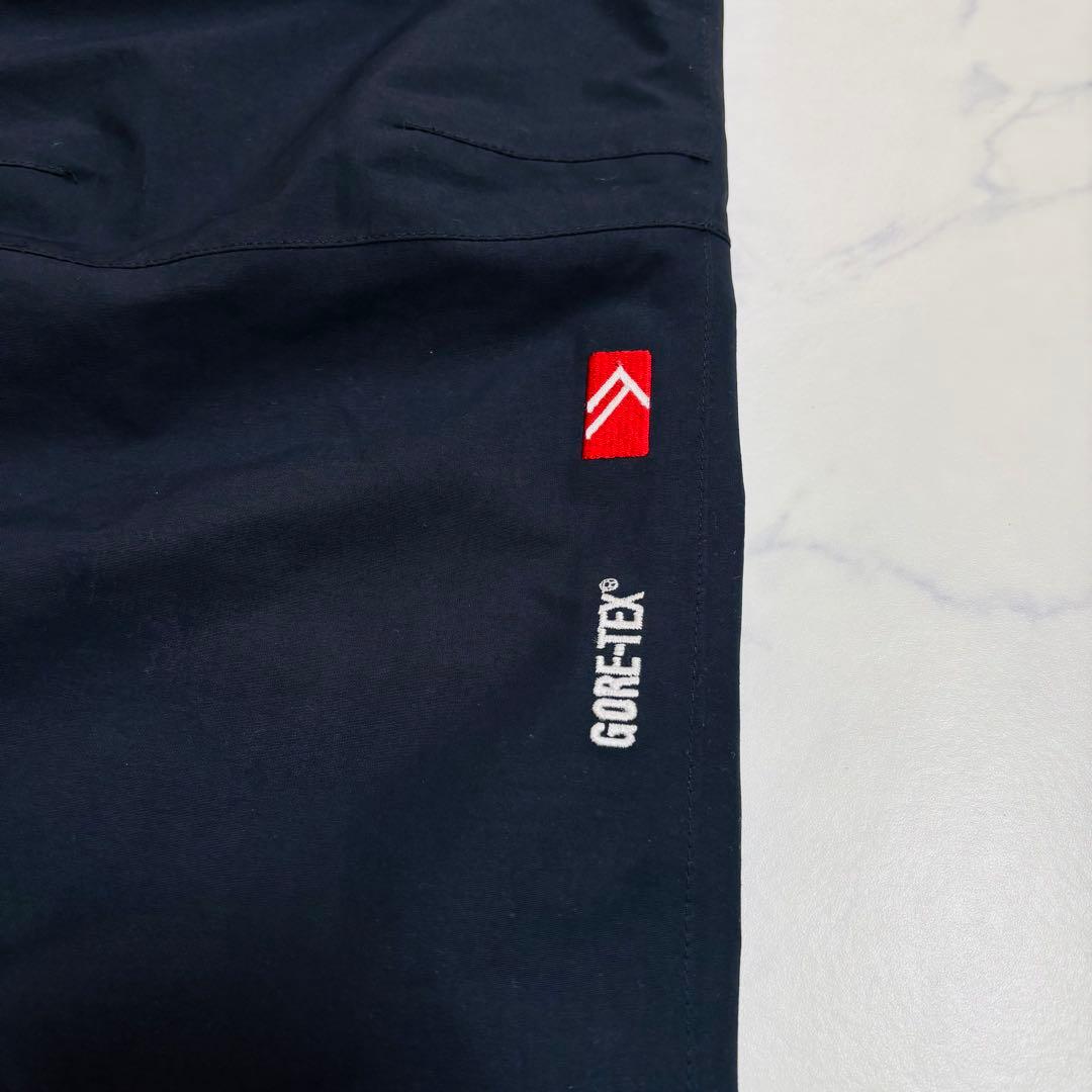 アルパインデザイン ゴアテックス スノボパンツ ウエストゴム M