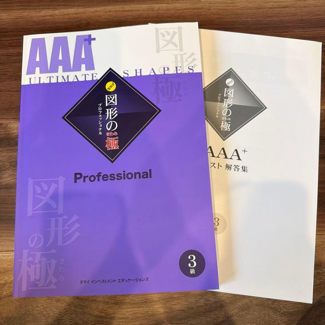 AAA+ 図形の極 Professional 3級