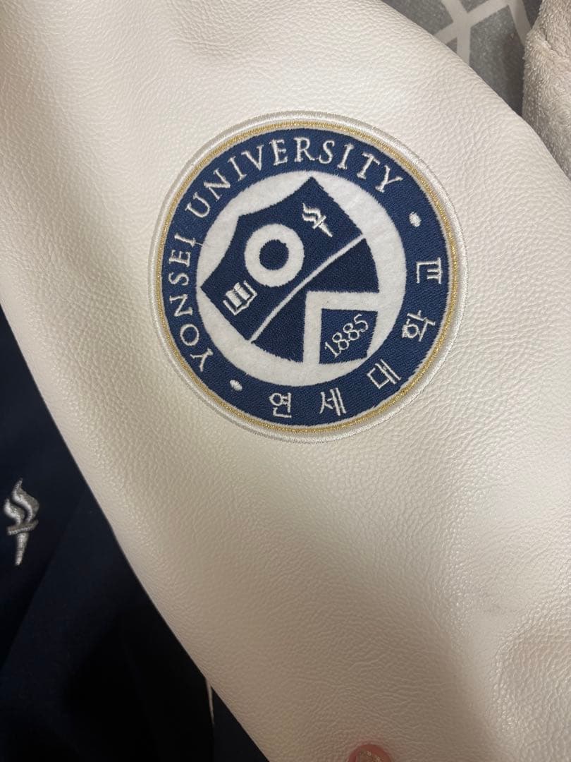 延世大学　スタジャン