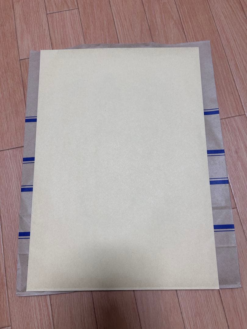 ヴァンパイア騎士 樋野まつり先生直筆「原稿下絵」