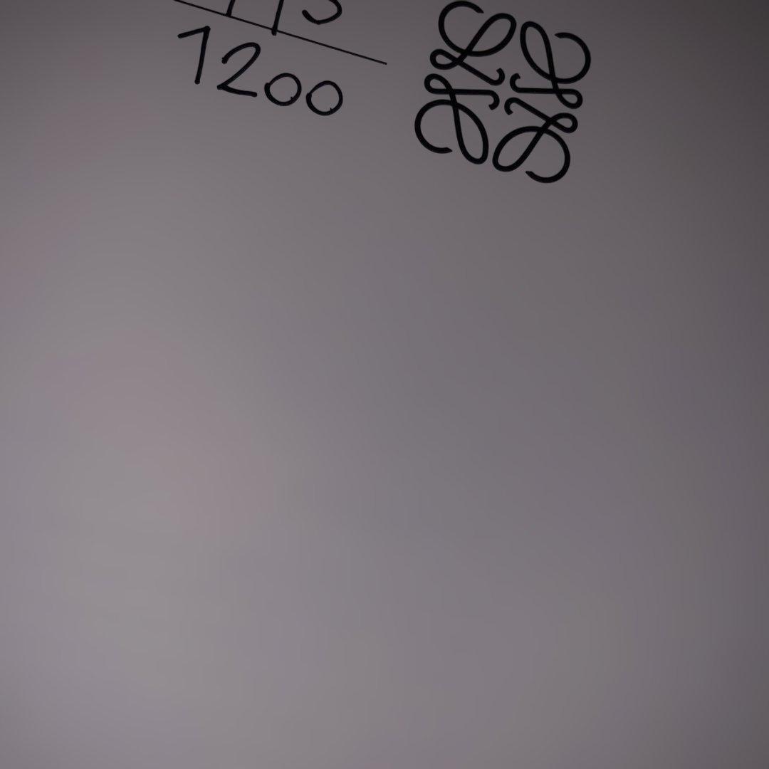 LOEWE ANGEL Duane Michals 限定版