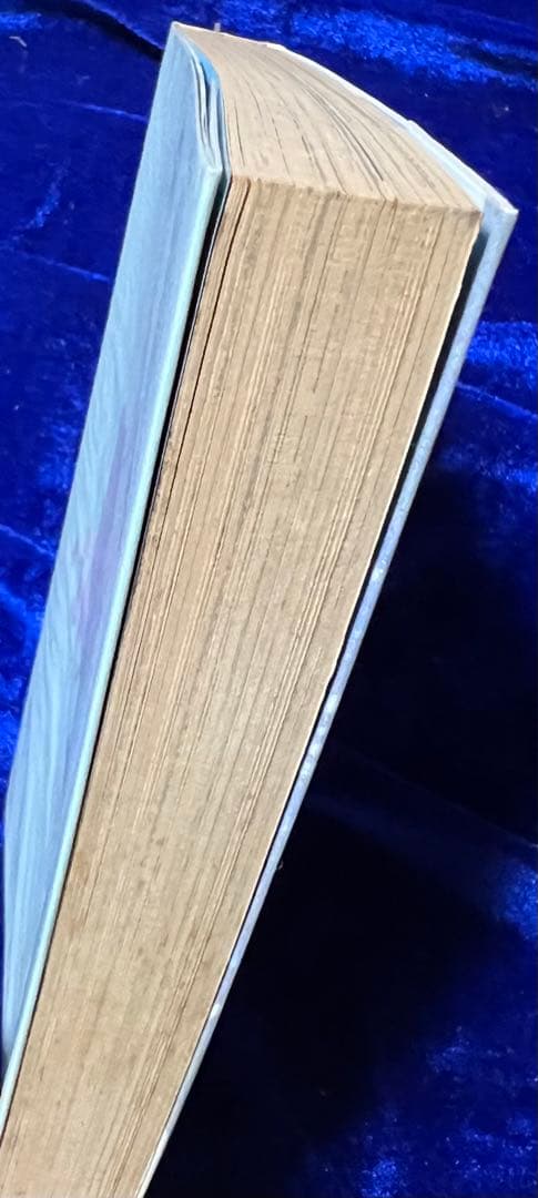 【大都社】ブルーベリードール / 石川賢