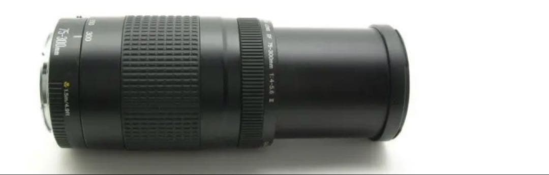 キヤノン/大迫力の300㎜/大望遠レンズ/Canon EF75-300 II