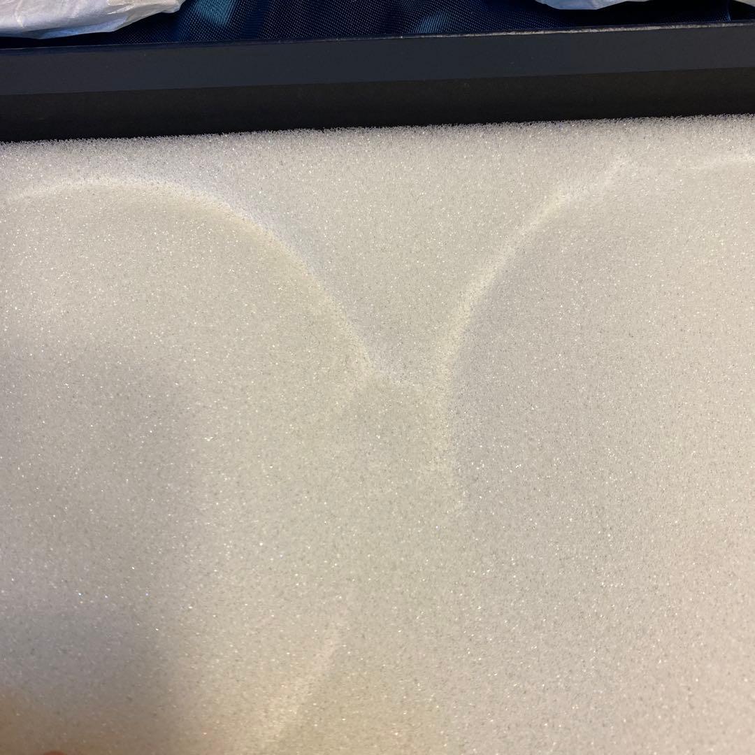 マイセンMEISSEN 波の戯れ皿 2枚セット 未使用品箱付き