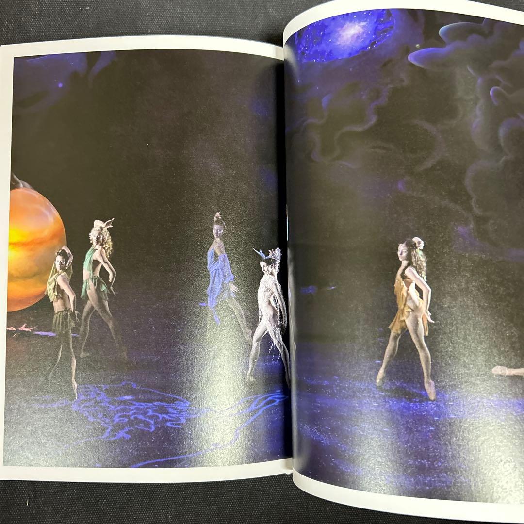 【サイン本・オリジナルプリント付】 ハービー・山口 セルゲイ・ポルーニン写真集