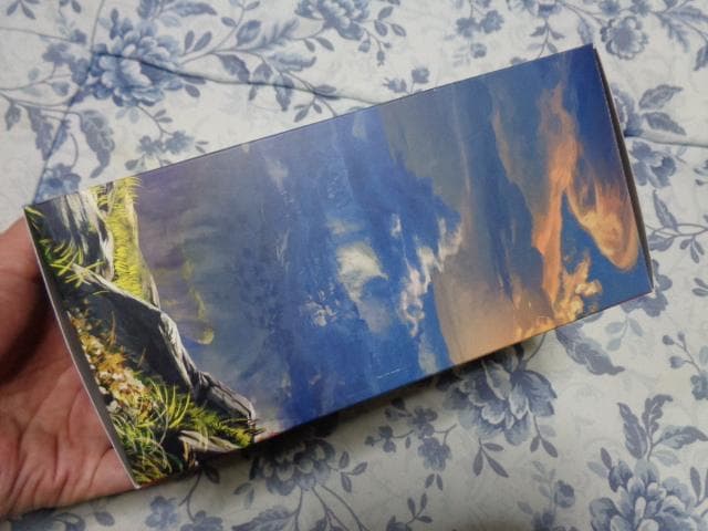 ゼルダの伝説 ブレス オブ ザ ワイルド コレクターズ エディション 特典付き