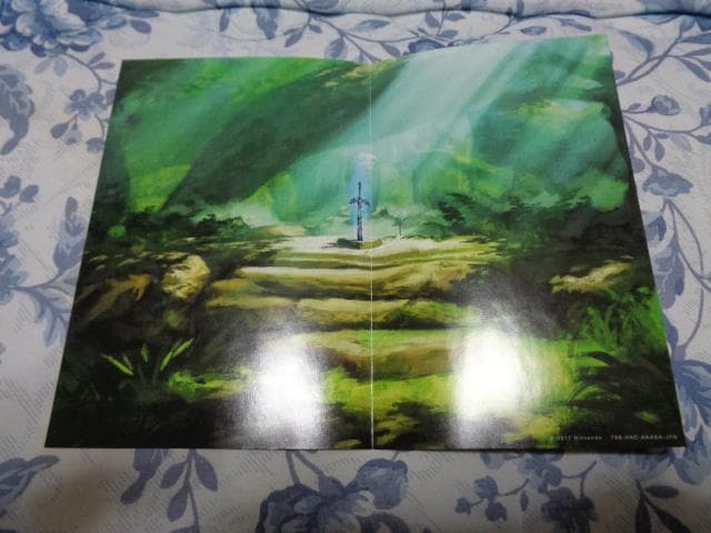 ゼルダの伝説 ブレス オブ ザ ワイルド コレクターズ エディション 特典付き