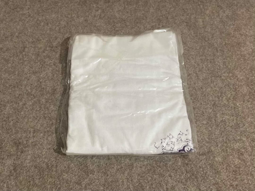 【サイン入り】ROVO 日比谷野音 DVD Tシャツ BOX 勝井祐二 山本精一