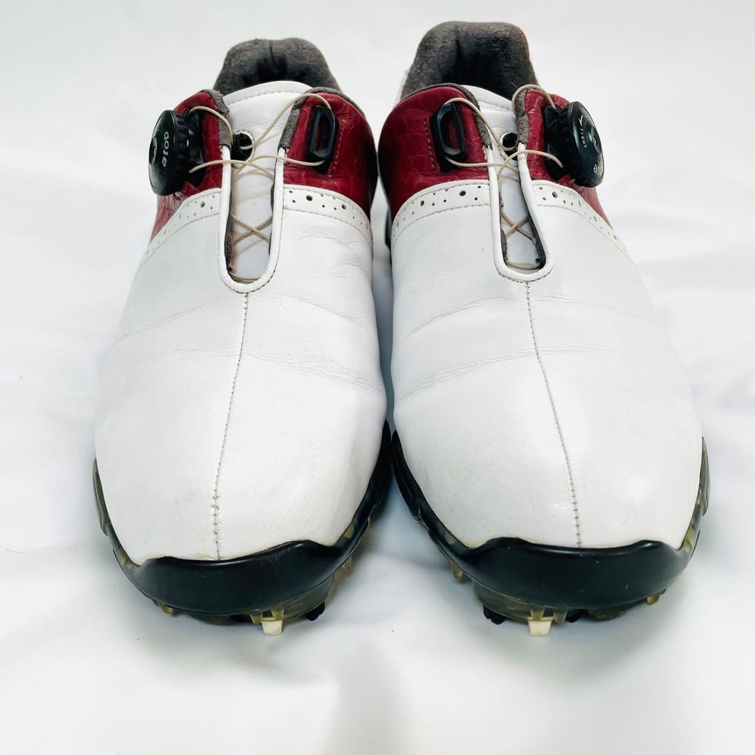 【早い者勝ち】 AXEL アクセル ゴルフシューズ 25.0cm レザー