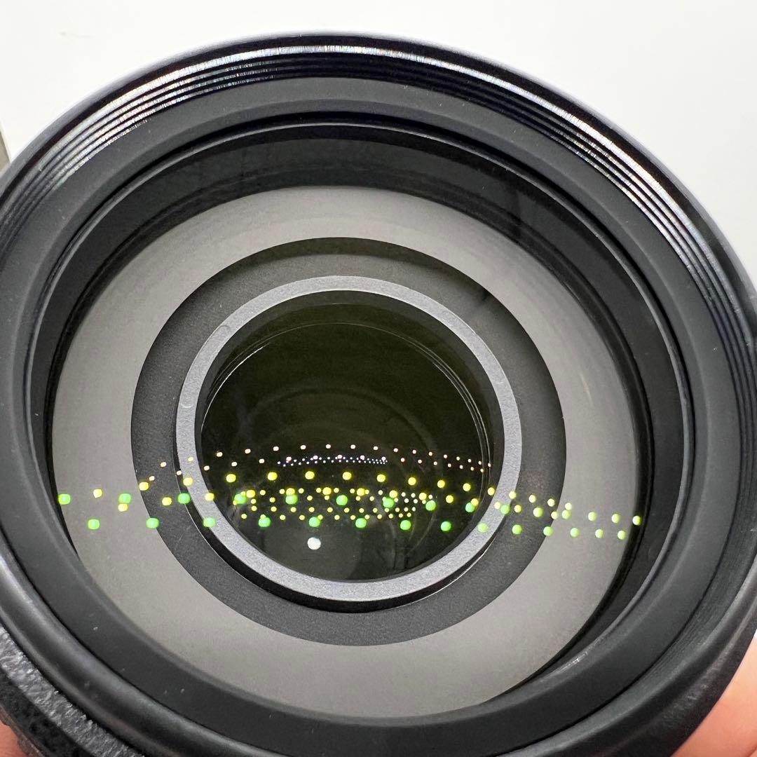 Nikon AF-S DX NIKKOR 55-300mm 望遠レンズ