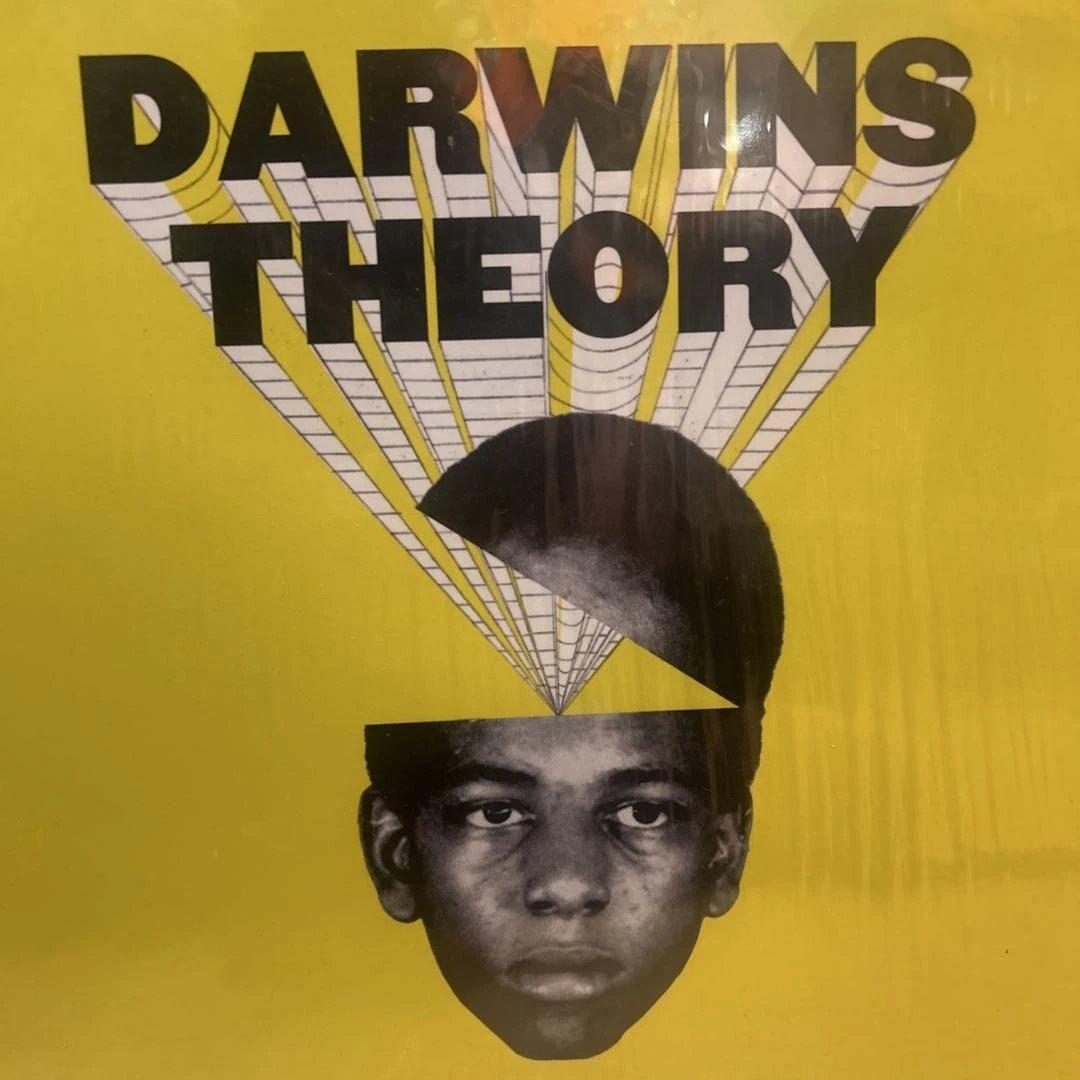 DARWINS THEORY レコード　レア盤