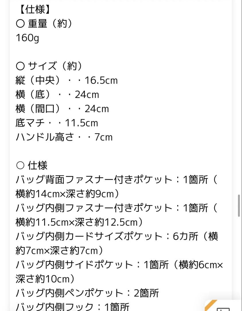 サロンドアルファード☆バックインバック☆ミニトート