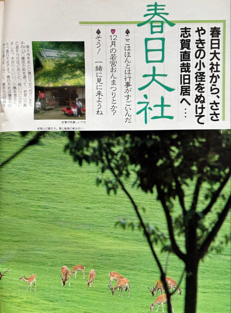 るるぶ 奈良・大和路・紅葉の日光・尾瀬　1984年