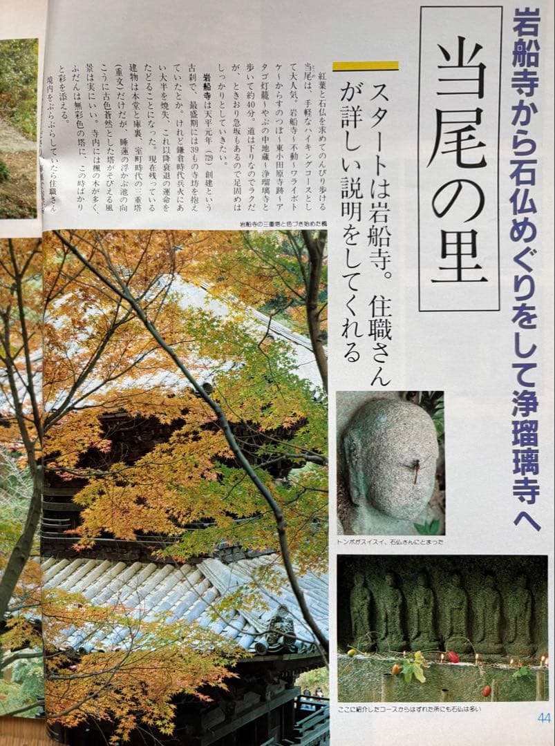 るるぶ 奈良・大和路・紅葉の日光・尾瀬　1984年