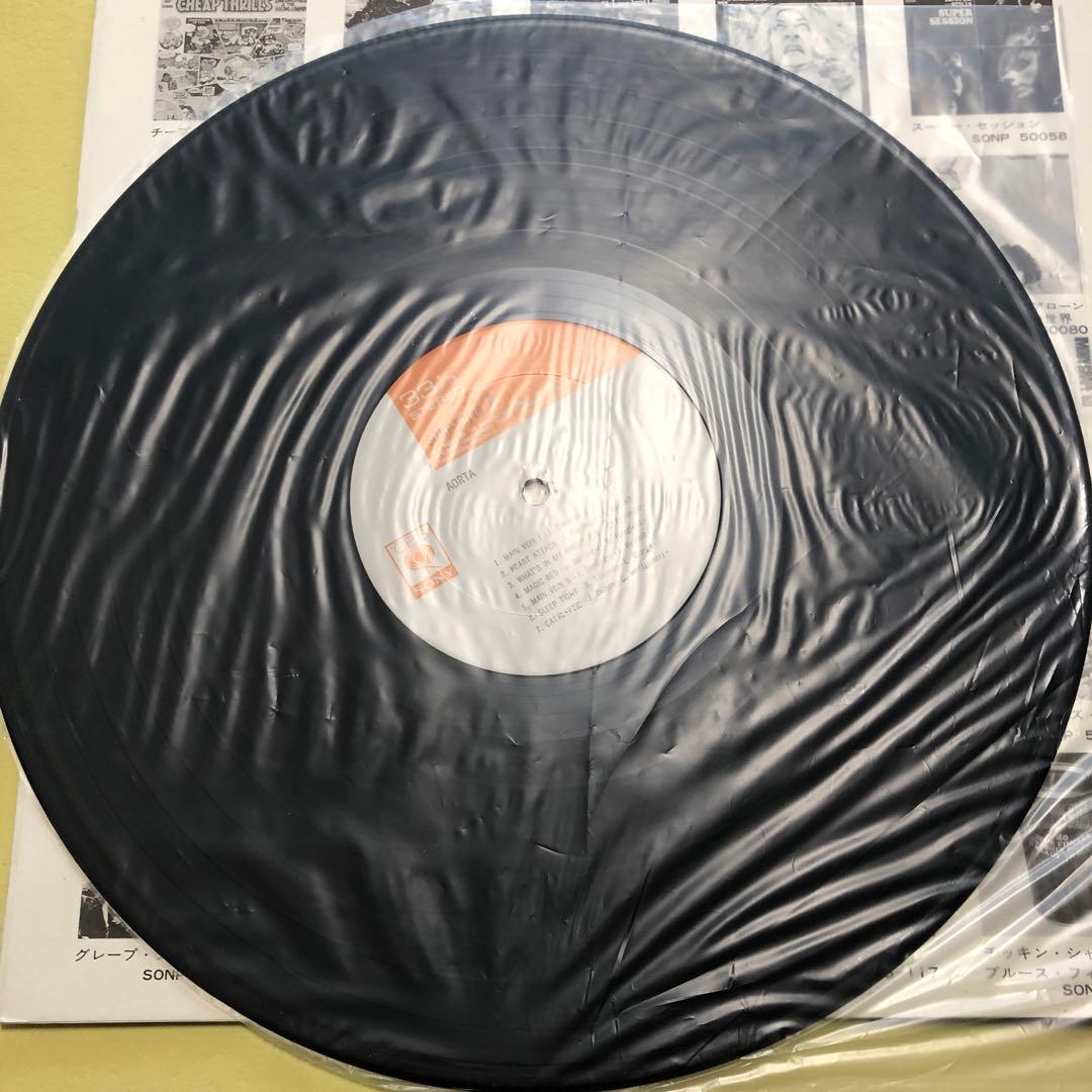 AORTA エイオ-タ　SONP 50119 日本盤