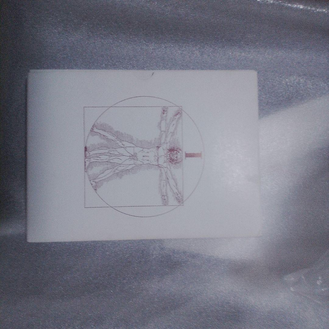 日本女性の外性器