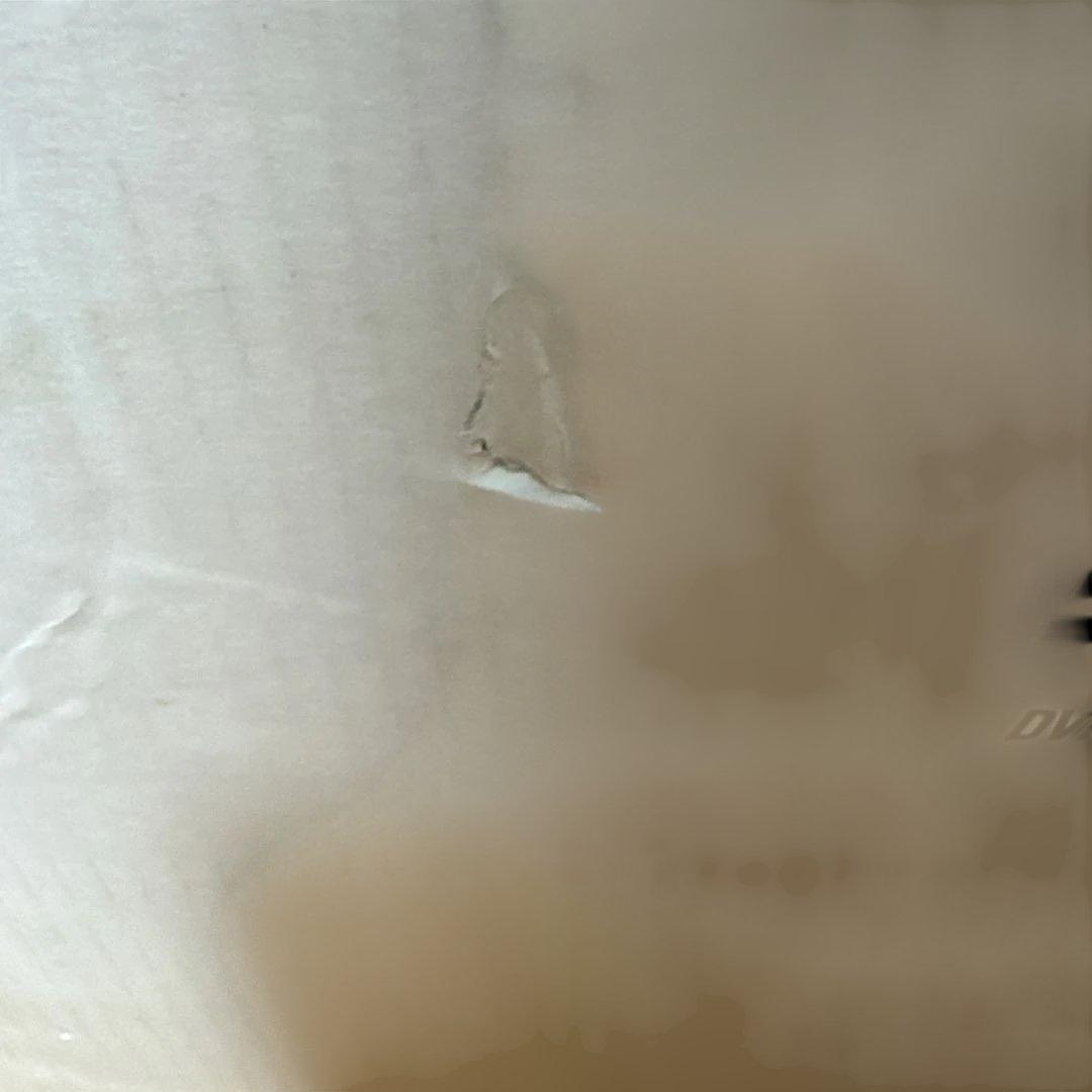 CITY HUNTER COMPLETE DVD-BOX〈完全予約生産限定〉