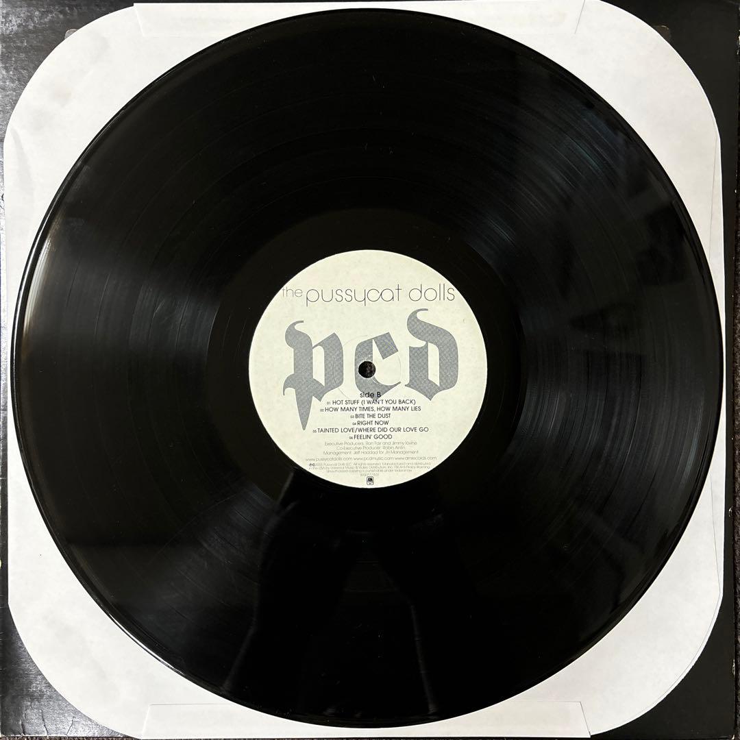 ⭐︎レア盤⭐︎the pussycat dolls / pcd（美品）送料無料