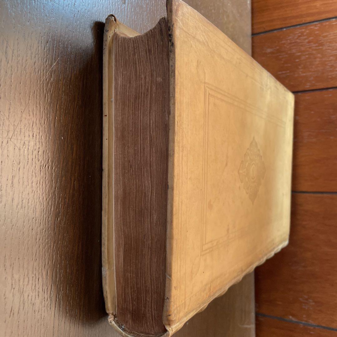 日本史　ケンペル