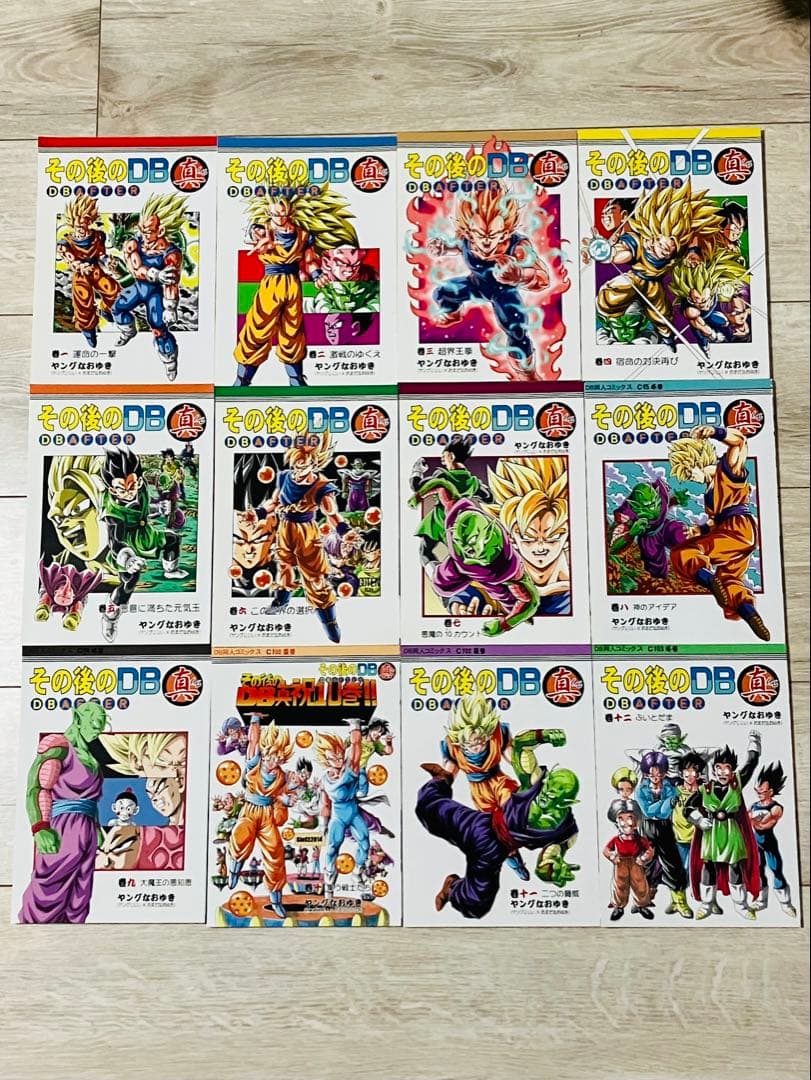 【希少】同人誌　その後のDB 真　DBAFTER 12冊セット　ヤングなおゆき