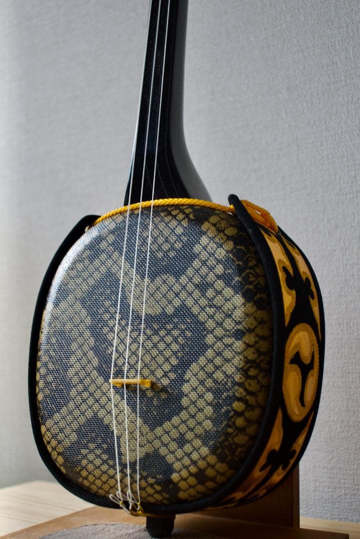 三線 沖縄 初心者セット 人工皮 ケース、爪、教本などset 三味線　送料込