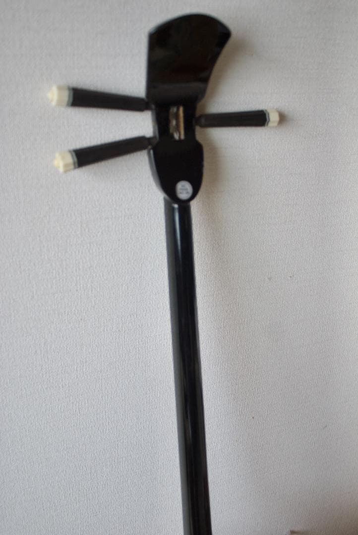 三線 沖縄 初心者セット 人工皮 ケース、爪、教本などset 三味線　送料込