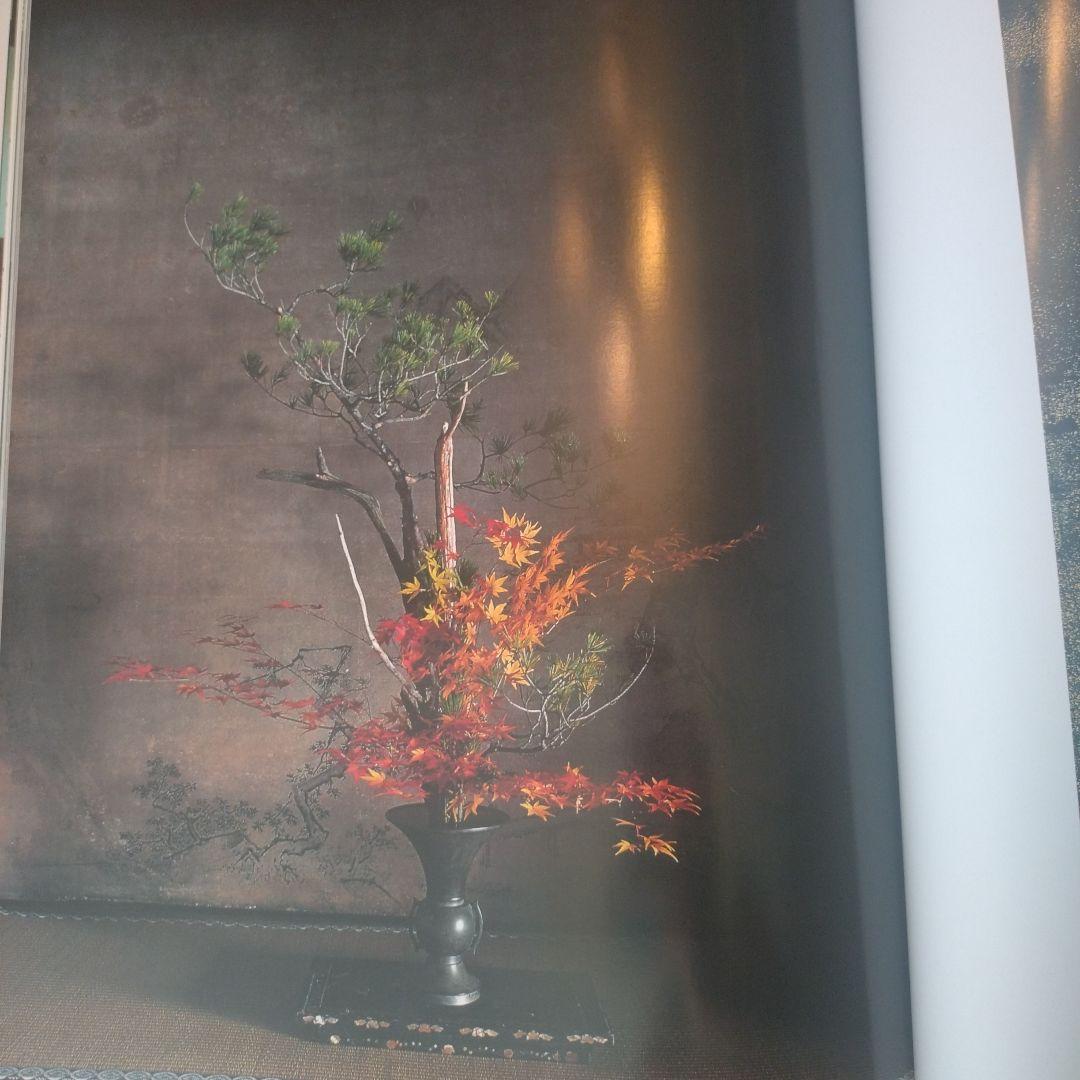 川瀬敏郎のいけばな集ミヤケイッセイ序文