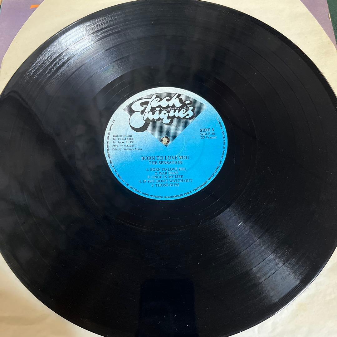 洋楽 THE SENSATION Born to Love You WRLP36