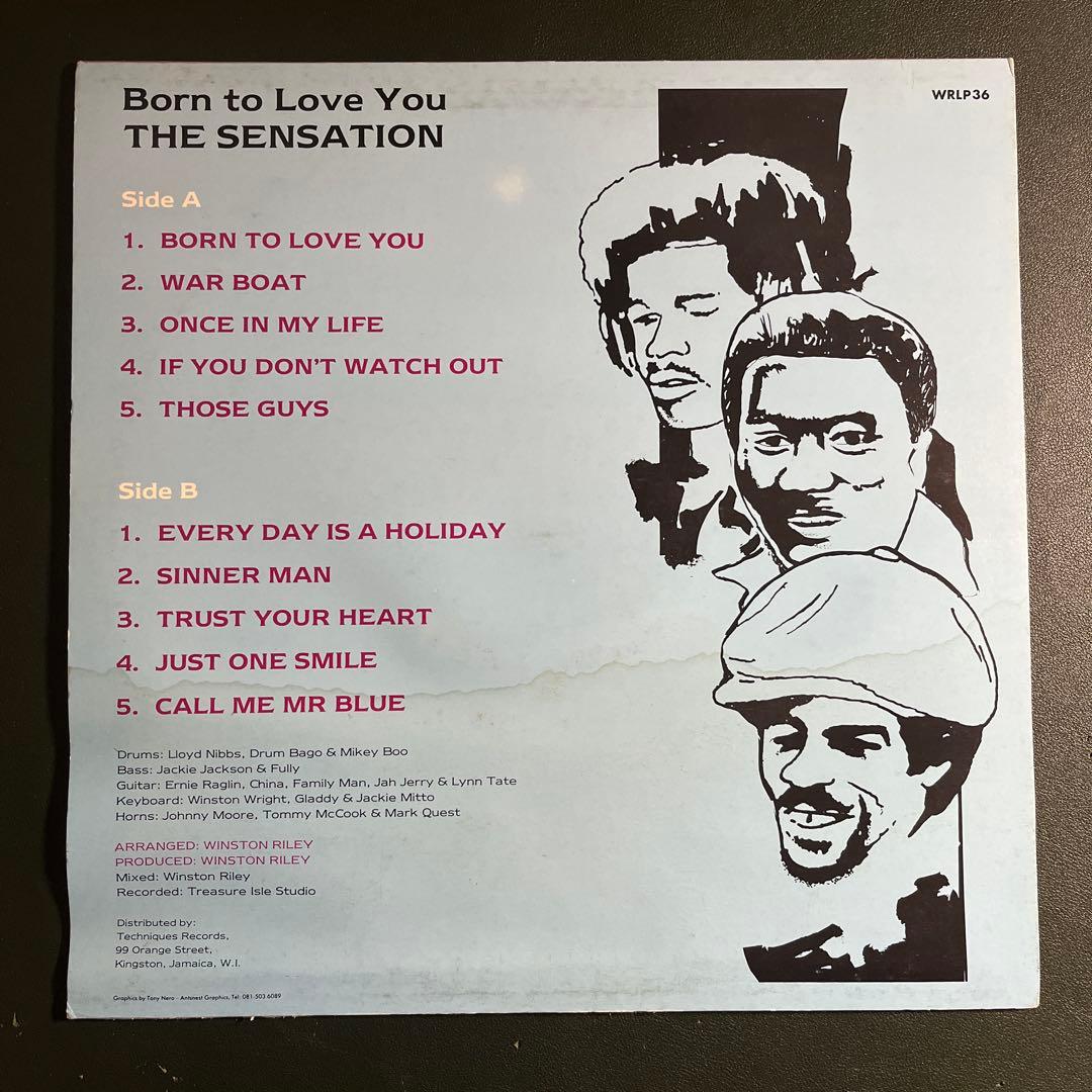 洋楽 THE SENSATION Born to Love You WRLP36